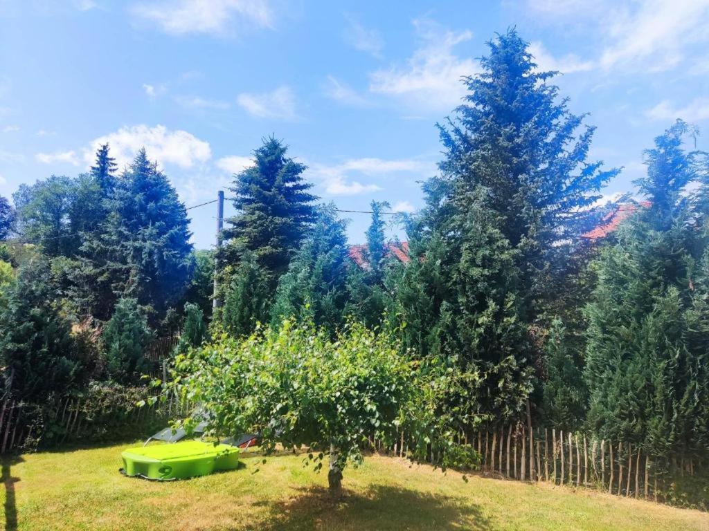 Ferienwohnung 3 Am Hofladen Hellendorf Bad Gottleuba Dış mekan fotoğraf